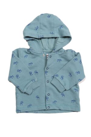 Appelblauwzeegroene hoodie, PF, 74